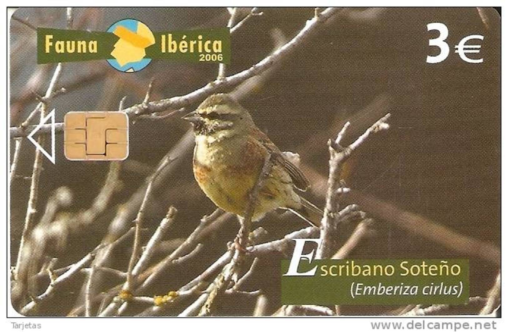 P-594 TARJETA DE ESPAÑA DEL ESCRIBANO SOTEÑO FAUNA IBERICA (BIRD-PAJARO) - Emisiones Privadas