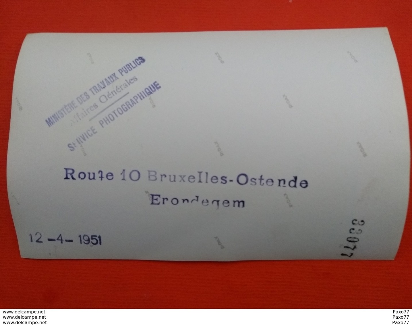 Photo Originale 1951 ,Erondegem ,  Rte 10 Bruxelles-Ostende - Altri & Non Classificati