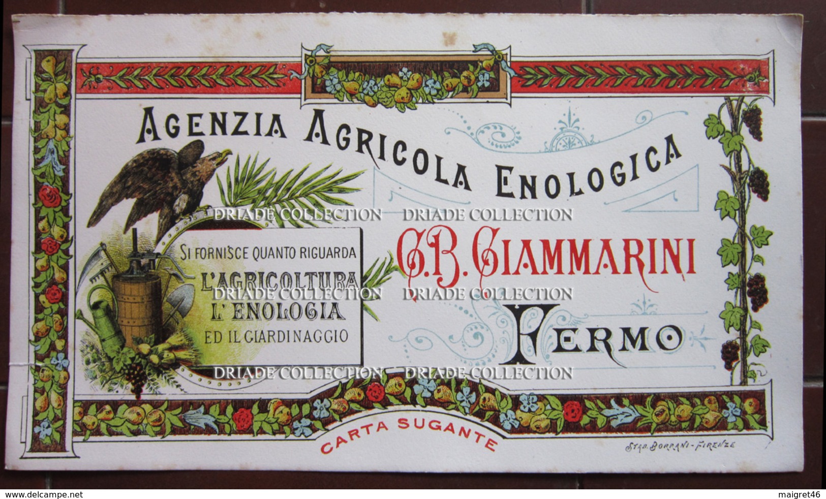 CARTA ASSORBENTE AGENZIA AGRICOLA ENOLOGICA G. B. GIAMMARINI FERMO - E