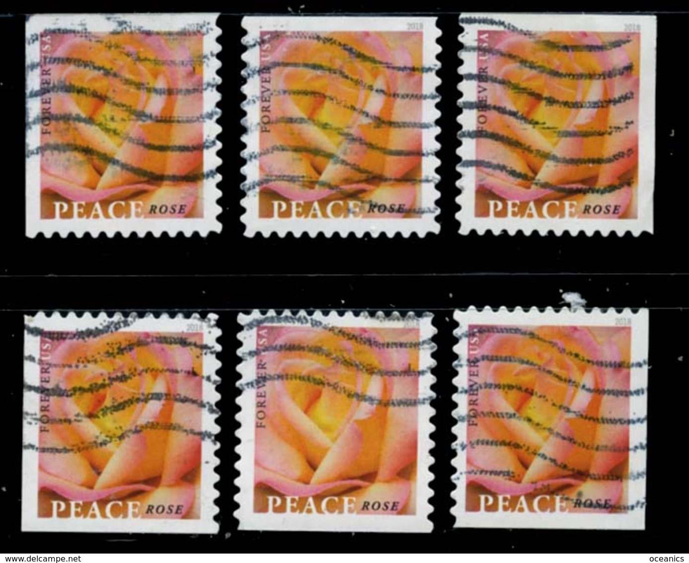 Etats-Unis / United States (Scott No.5280 - Rose De La Paix / Peace Rose) (o) All Positions - Gebraucht