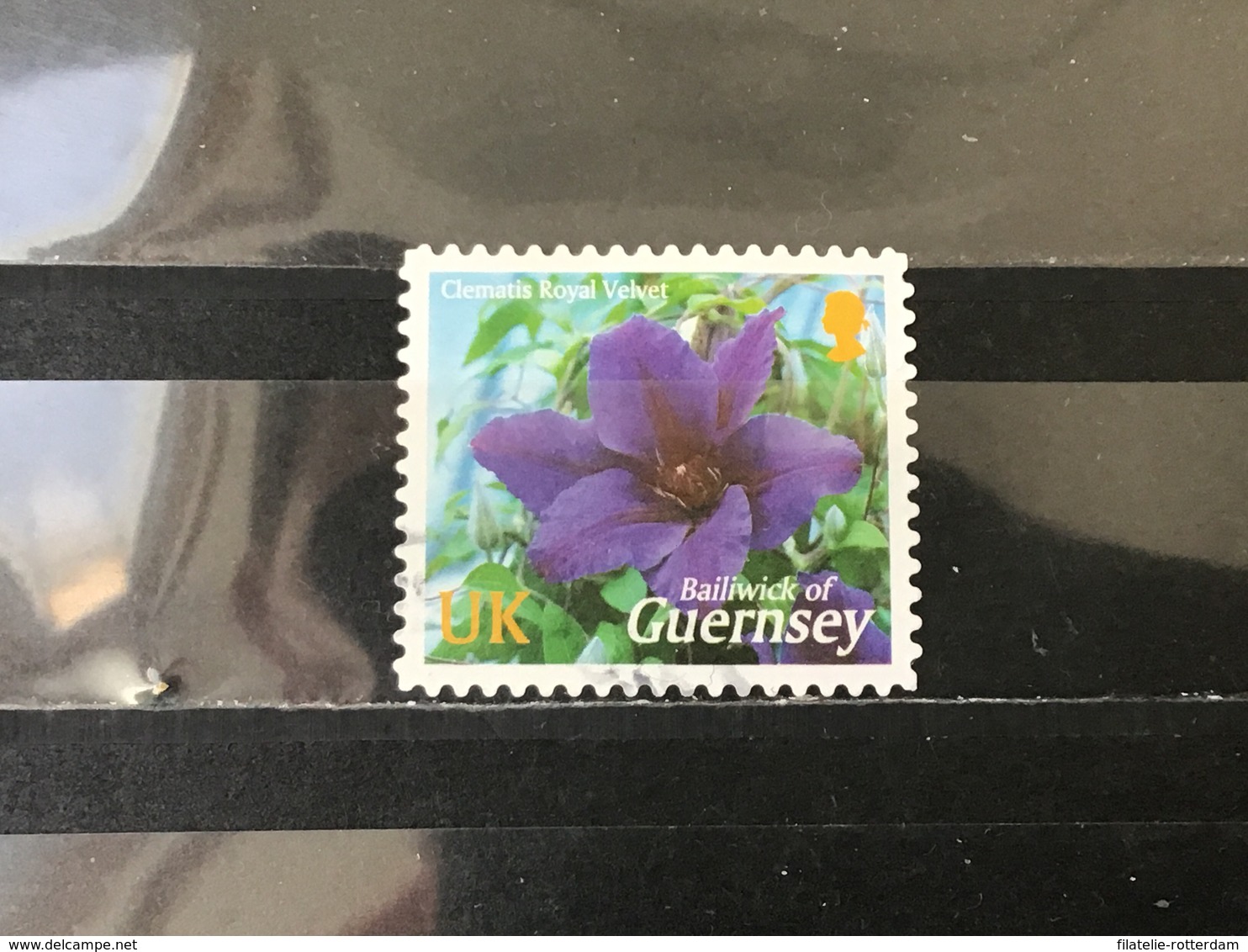 Guernsey - Bloemen (UK) 2004 - Guernesey