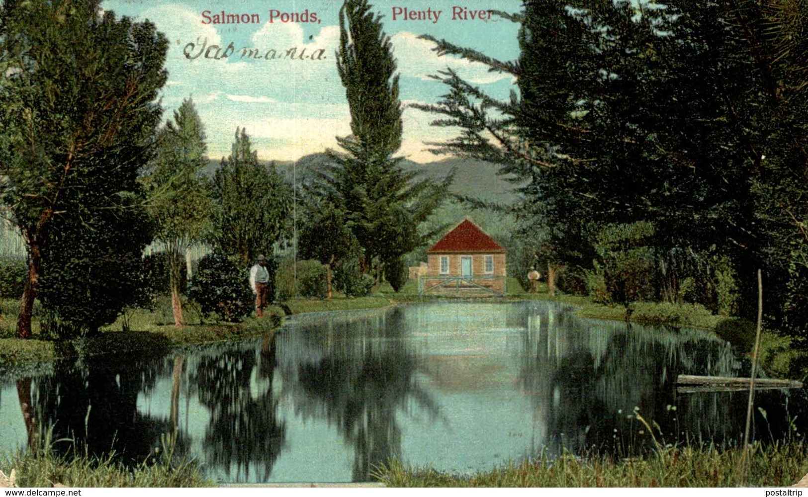 OCEANIE - AUSTRALIE -- Tasmania -   SALMON PONDS PLENTY RIVER - Other & Unclassified