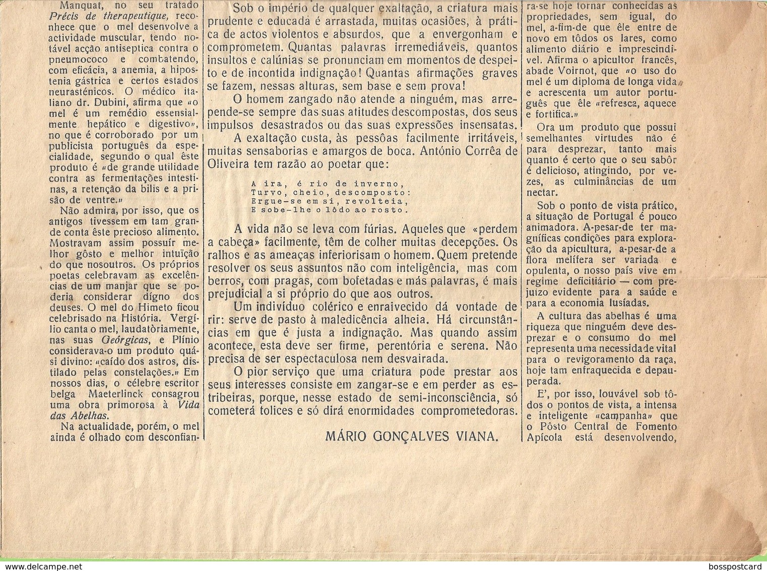 Esposende - Jornal O Cávado Nº 784 De 12 De Maio De 1935. Braga. - Informations Générales