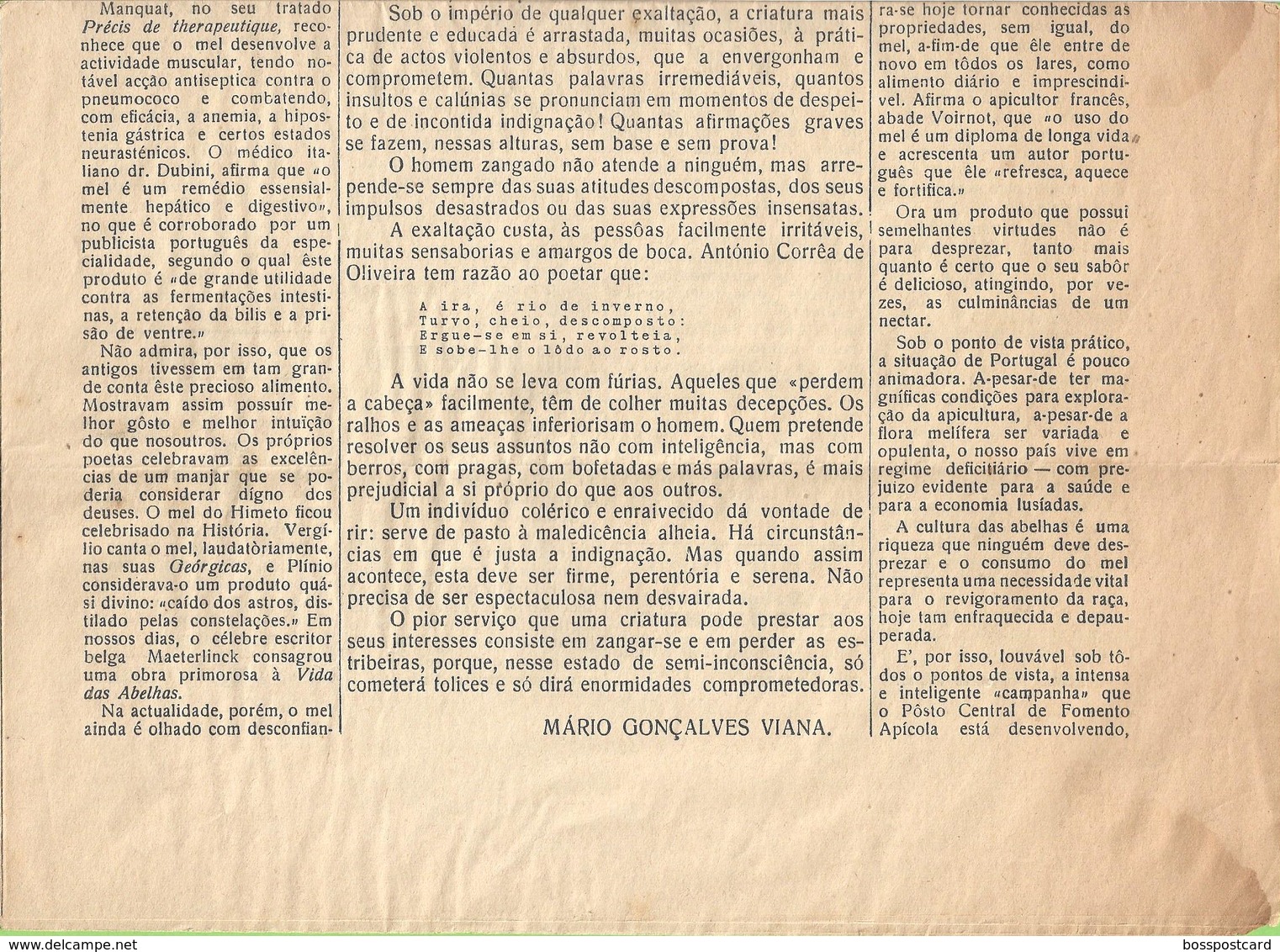 Esposende - Jornal O Cávado Nº 784 De 12 De Maio De 1935. Braga. - Allgemeine Literatur