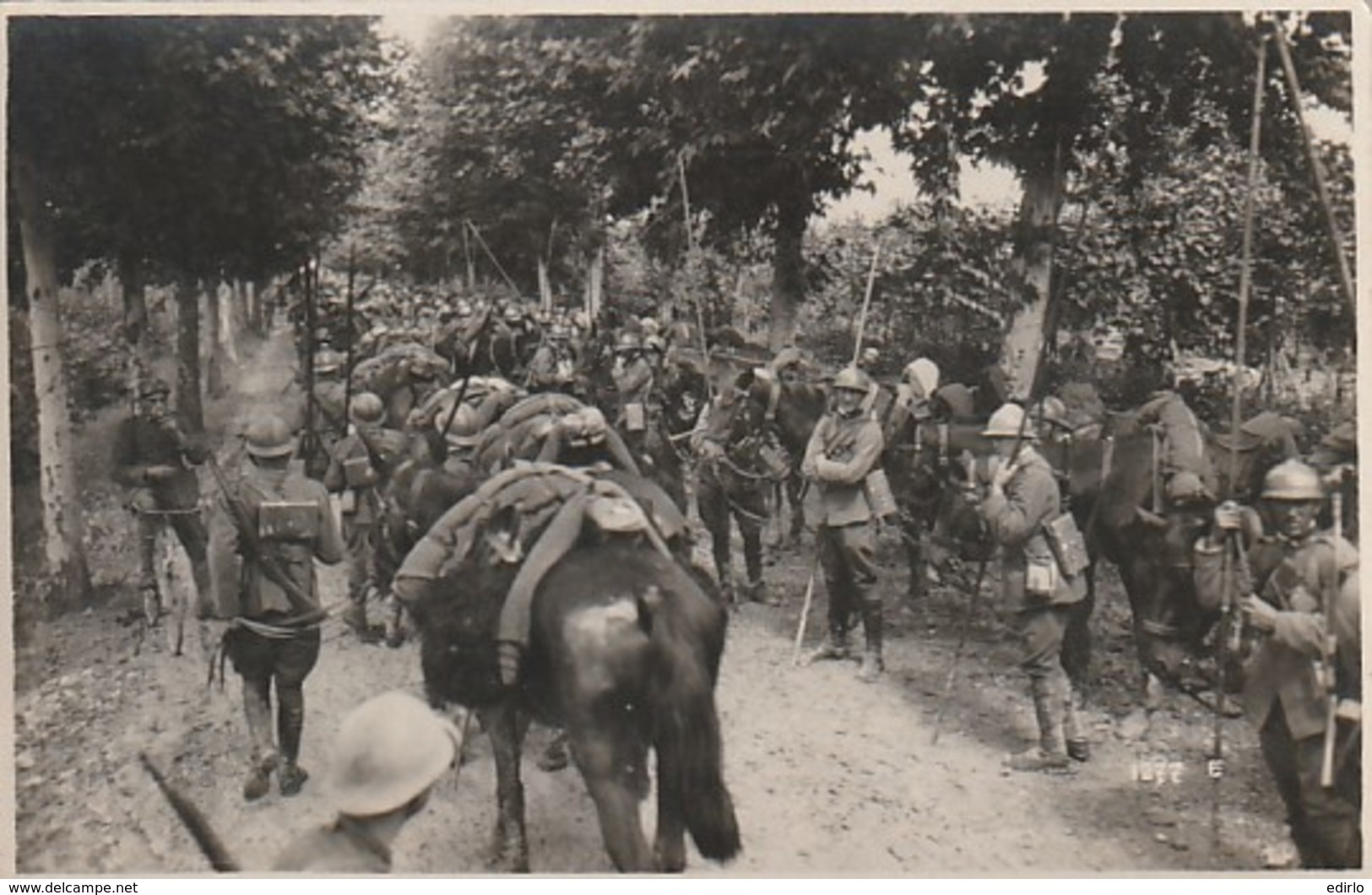 *** MILITARIA *** Reproduzione Vietata - Sezione Fotocinmatographia Del R Eserto Italiamo  TTB - Fotografia