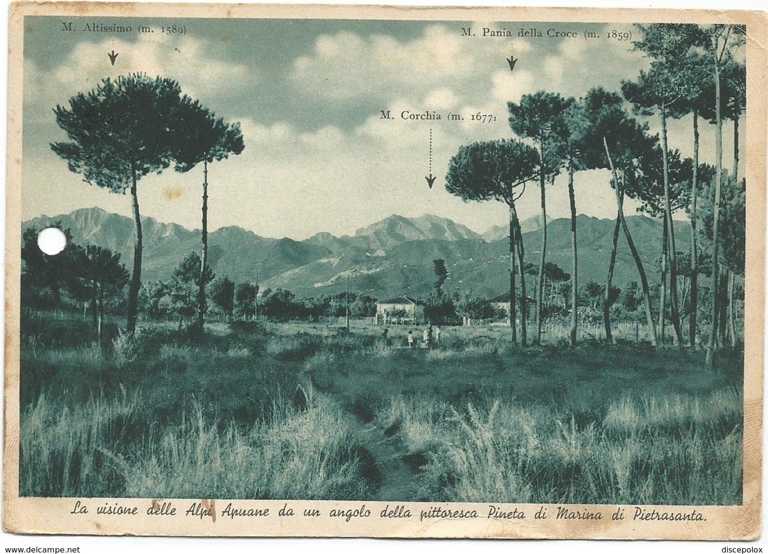 W3295 Marina Di Pietrasanta (Lucca) - La Pineta - Panorama Delle Alpi Apuane / Viaggiata 1936 - Altri & Non Classificati