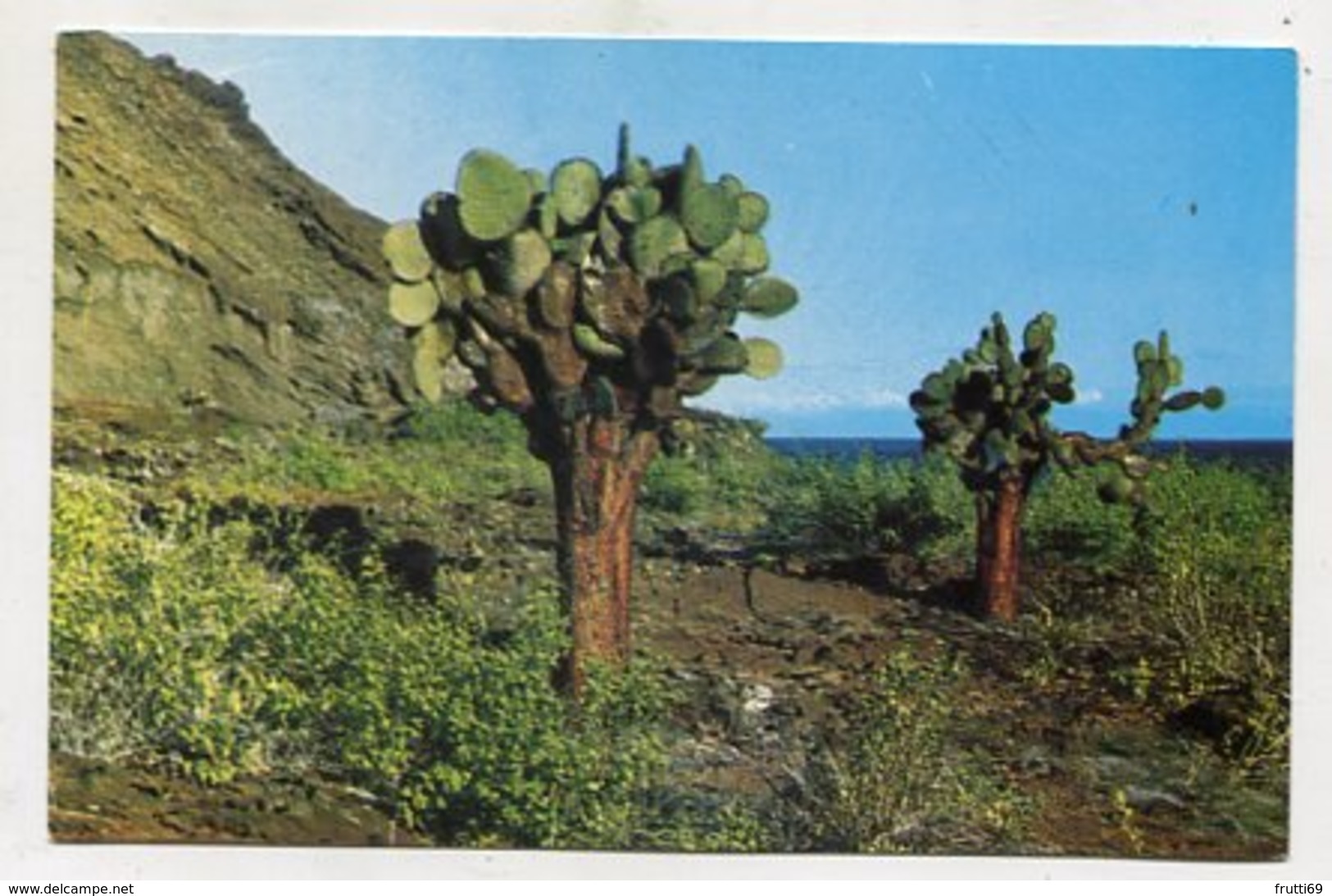 ECUADOR / GALAPAGOS - AK 351541 - Ecuador