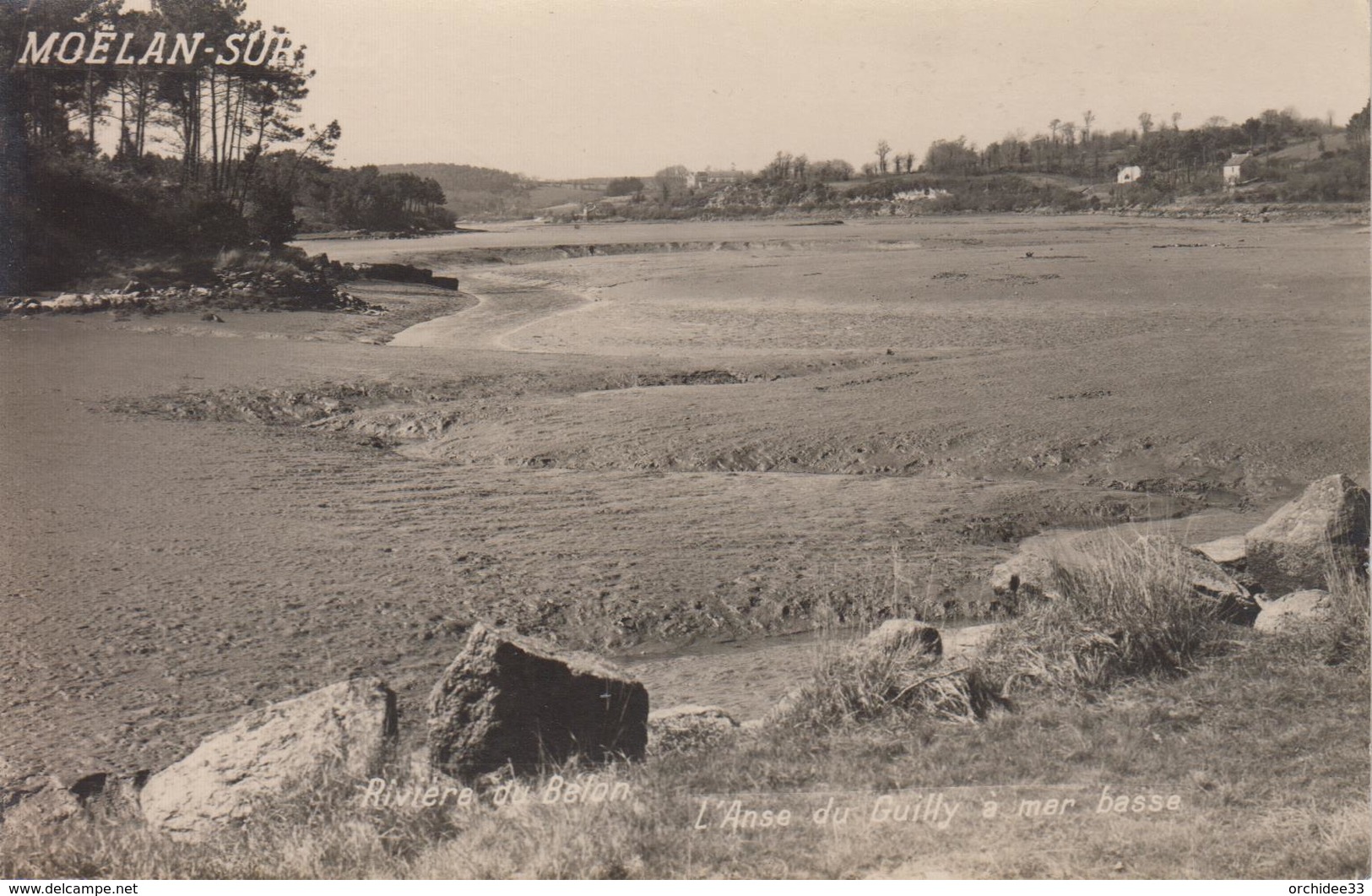 CP Photo Moëlan-sur-Mer - Rivière Du Bélon - L'anse Du Guilly à Mer Basse - Moëlan-sur-Mer