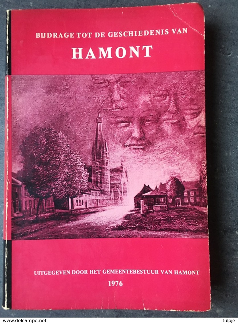 Boek : Bijdrage Tot De Geschiedenis Van Hamont - Geschichte