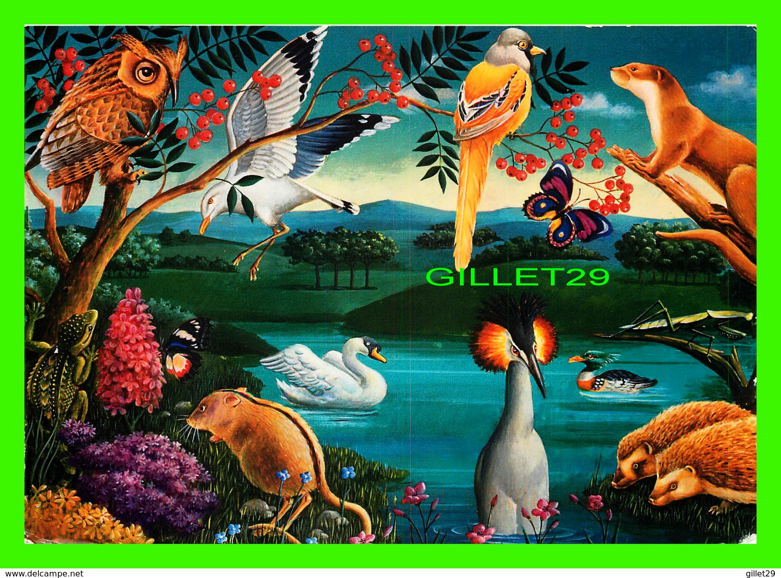 OISEAUX - UNITED NATIONS POSTALE ADMINISTRATION - DESSIN OF CARLOS OCHAGAVIA, ARGENTINE - TRAVEL IN 1998 - - Vogels