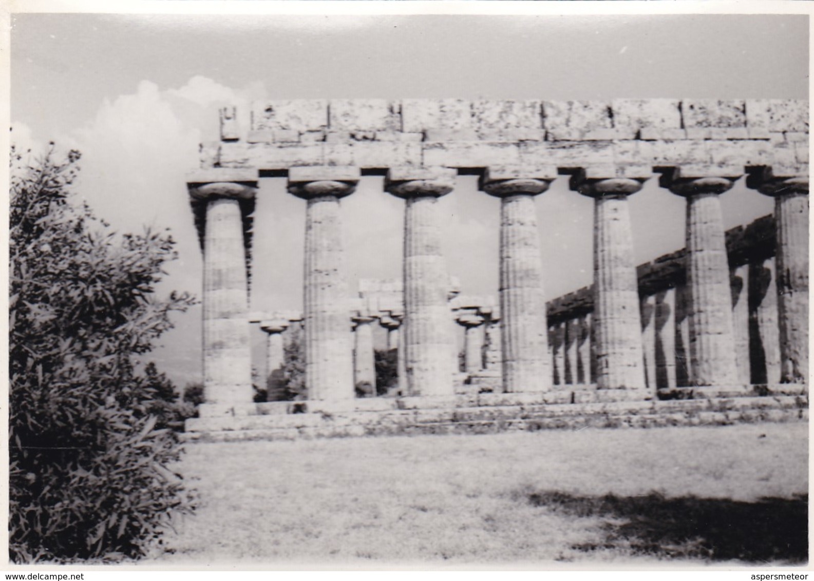 PAESTUM. PHOTO ORIGINAL CIRCA 1960's SIZE 10x7cm  - BLEUP - Places