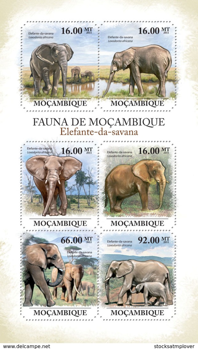 Mozambique 2011 Fauna- Elephants - Mozambique