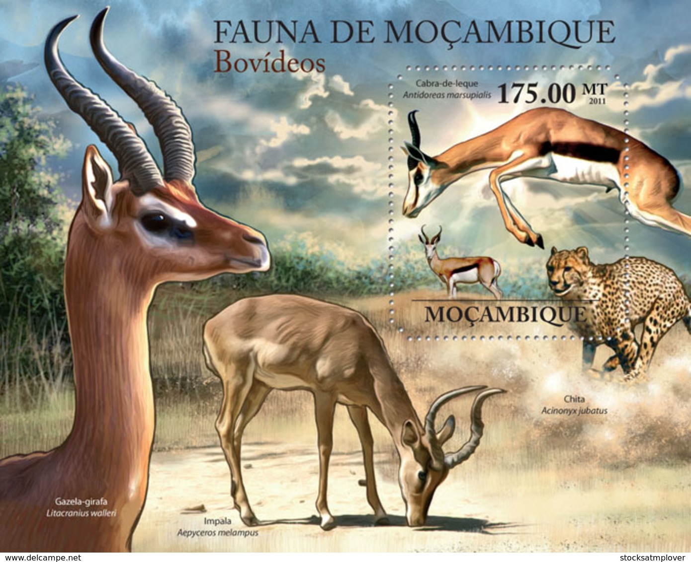 Mozambique 2011 Fauna  Antelopes - Mozambique