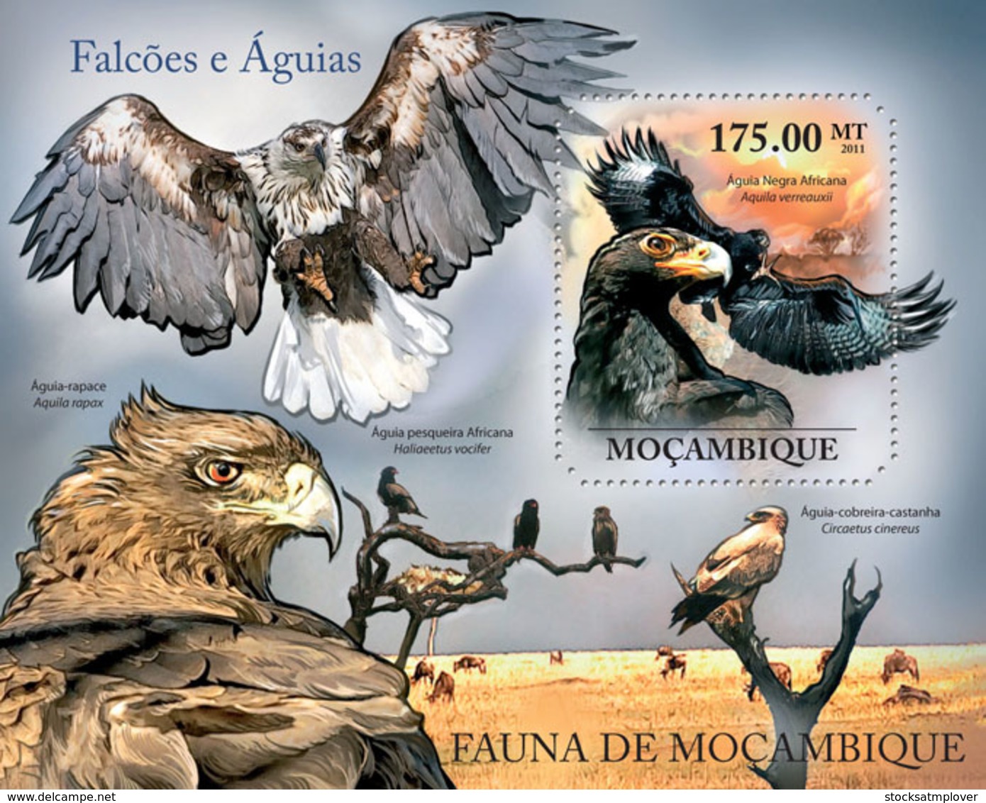 Mozambique 2011 Fauna - Hawks & Eagles - Mozambique