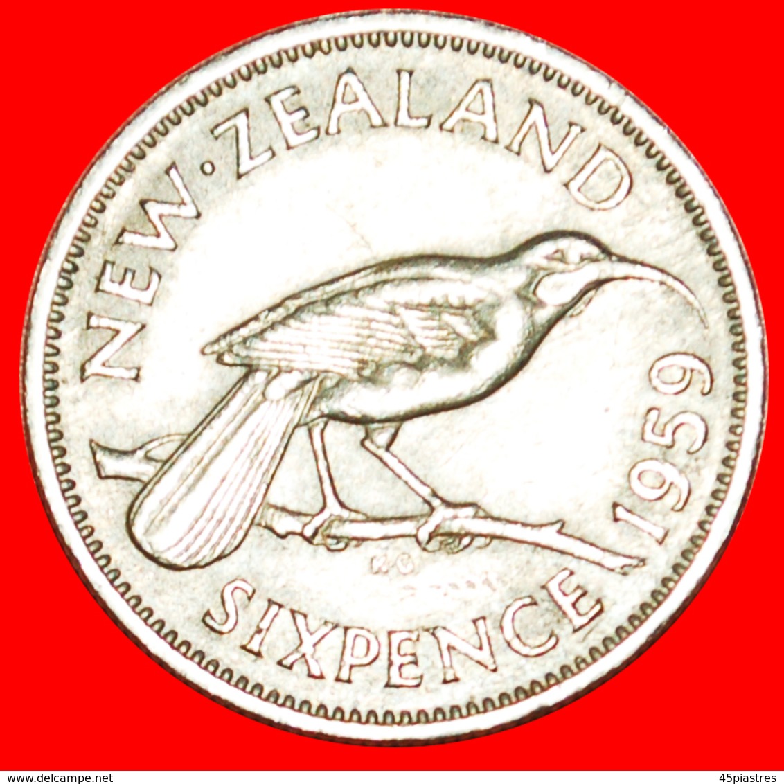 + DRESSED QUEEN (1955-1965): NEW ZEALAND ★ 6 PENCE 1959! LOW START ★ NO RESERVE! - Nouvelle-Zélande