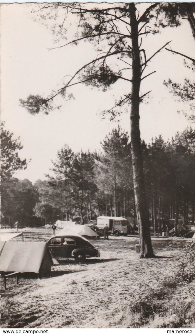 MIMIZAN (40). Campeurs Sur Les Bords Du Lac. Voiture Peugeot 203, Fourgon Citroën - Voitures De Tourisme