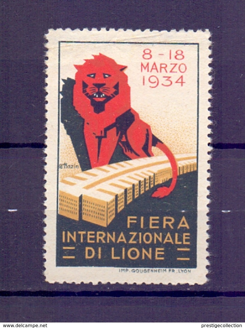 CINDERELLA ERINNOFILIA FIERA INTERNAZIONALE DI LIONE 1934 (GIUGN1900B19) - Erinnofilia