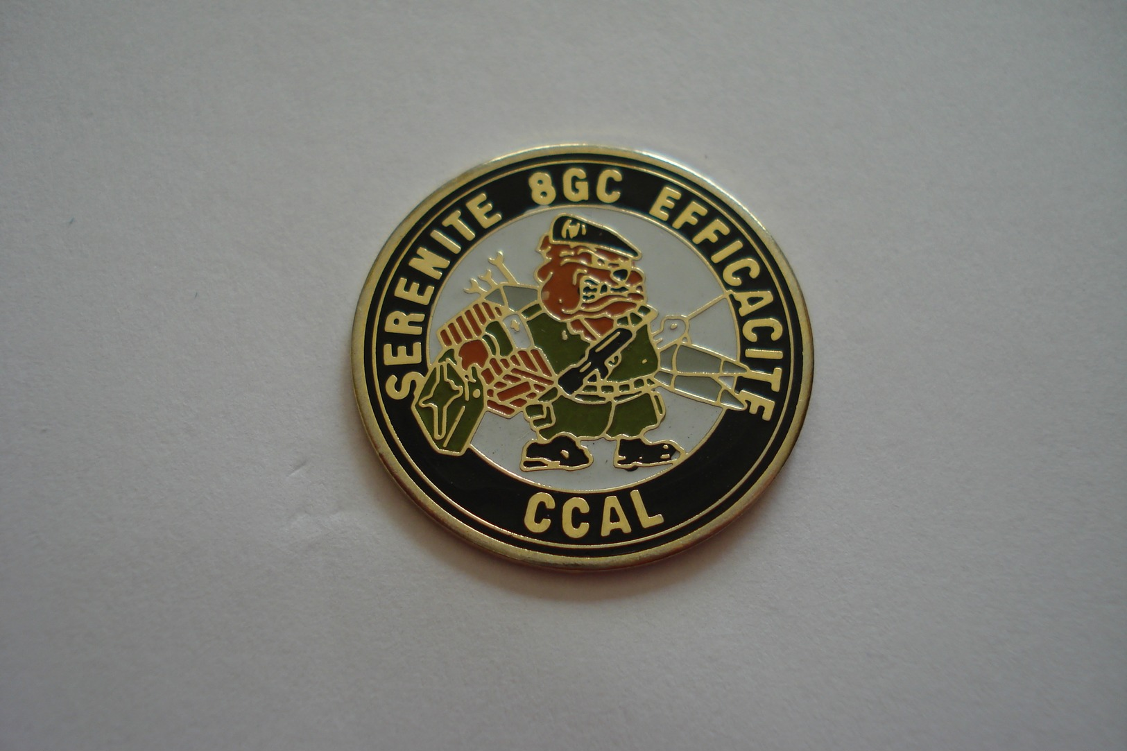 20190604-2952 8e GC CCLA CHASSEURS A PIED - Militaria