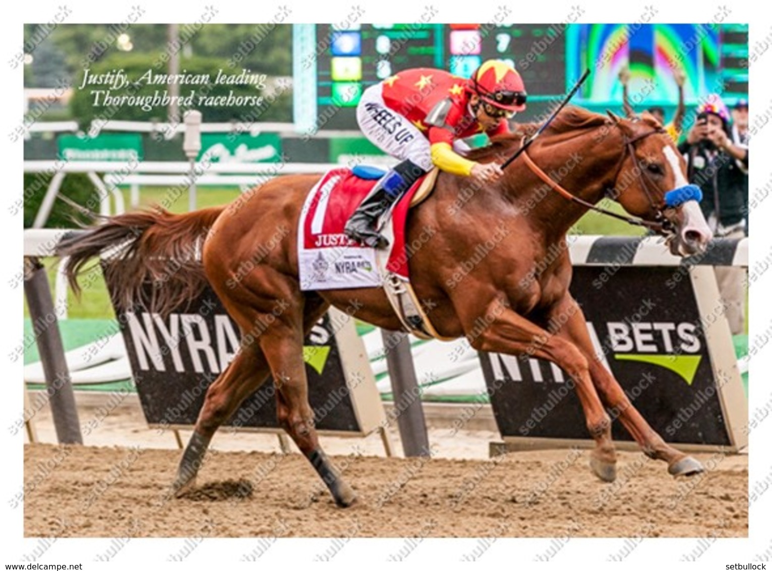 Ukraine | Postcard | Justify | Leading Thoroughbred Racehorse | Horse - Chevaux