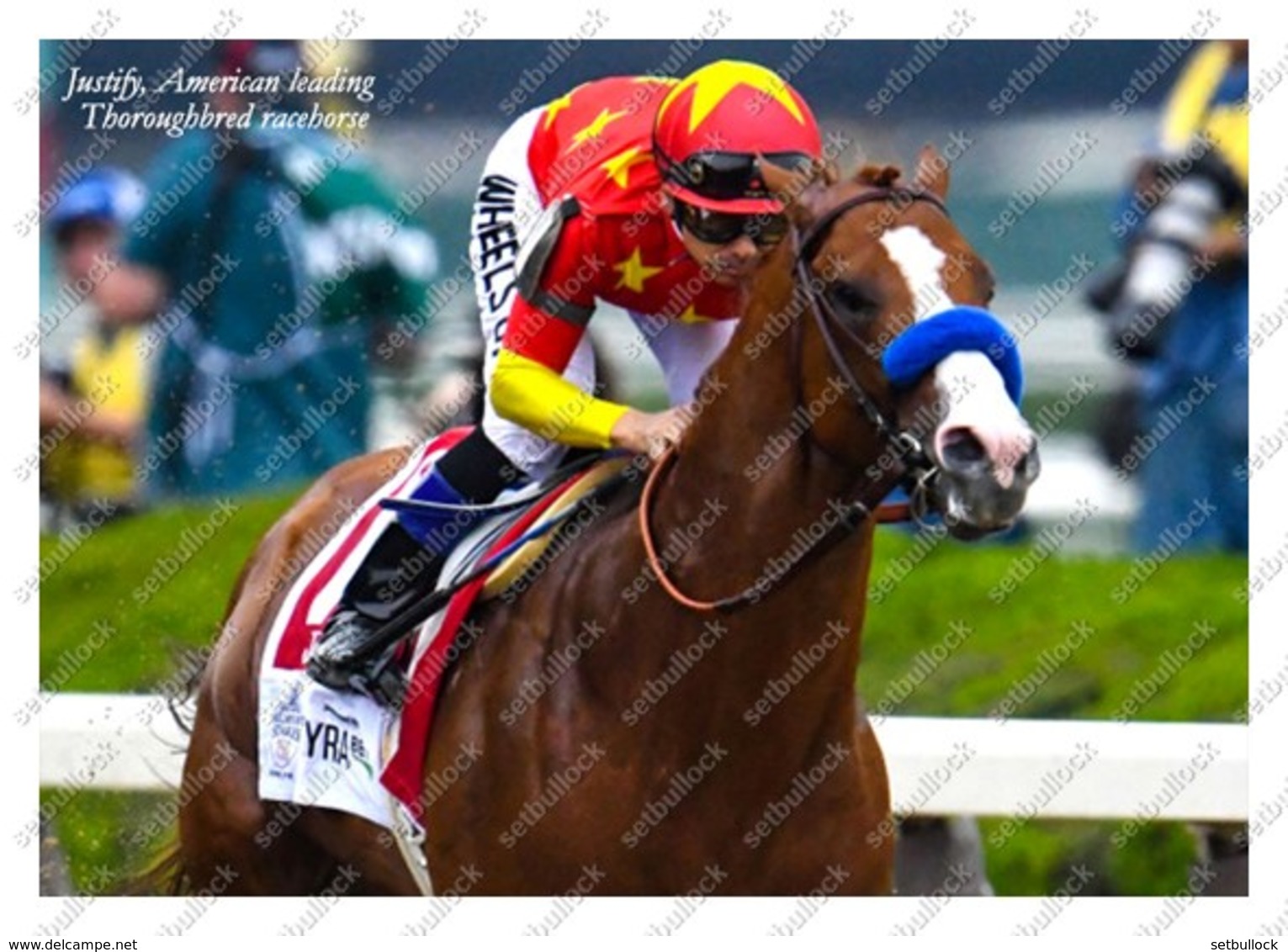 Ukraine | Postcard | Justify | Leading Thoroughbred Racehorse | Horse - Chevaux