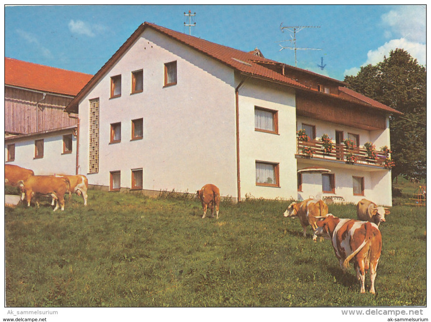 Maschenberg Bei Regen (D-A173) - Regen