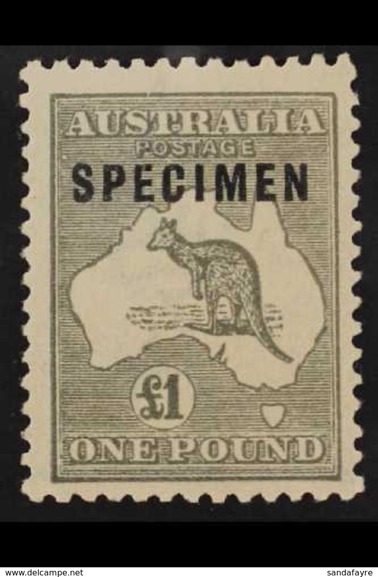 1923 £1 Grey, Overprinted "Specimen", SG 75s, Very Fine Mint. For More Images, Please Visit Http://www.sandafayre.com/it - Sonstige & Ohne Zuordnung