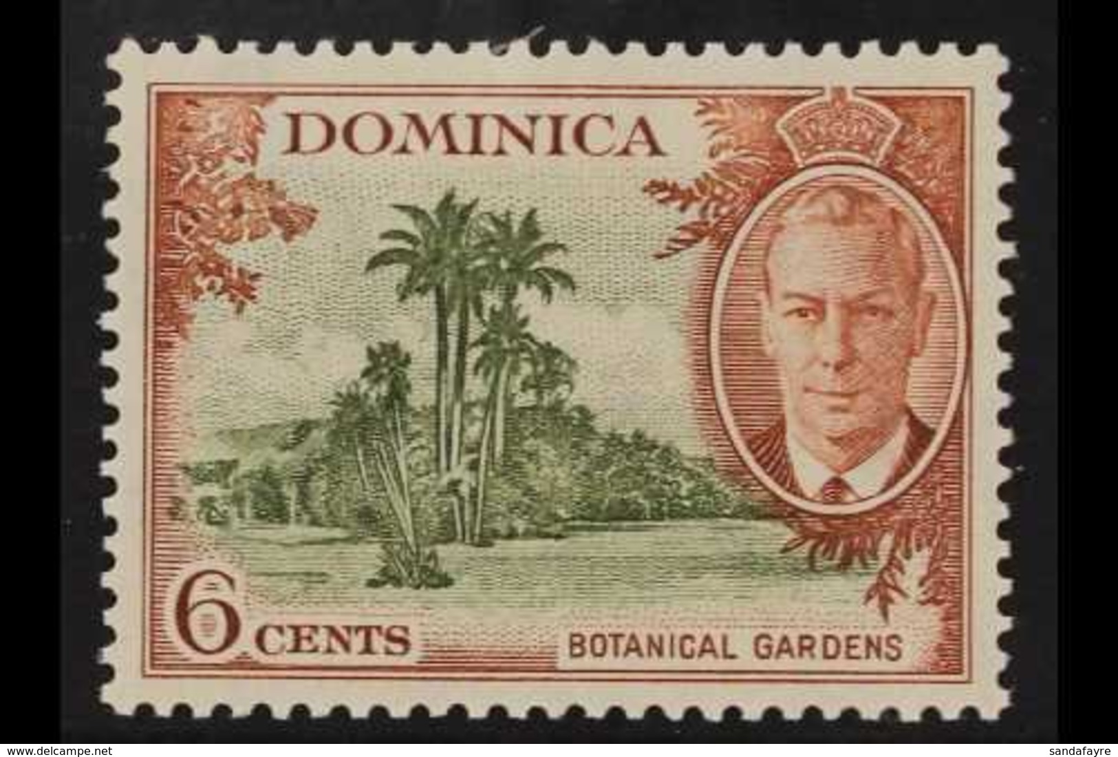 1951 6c Olive And Chestnut, Variety "A Of CA Missing From Wmk", SG 126b, Very Fine Mint Og. For More Images, Please Visi - Dominique (...-1978)