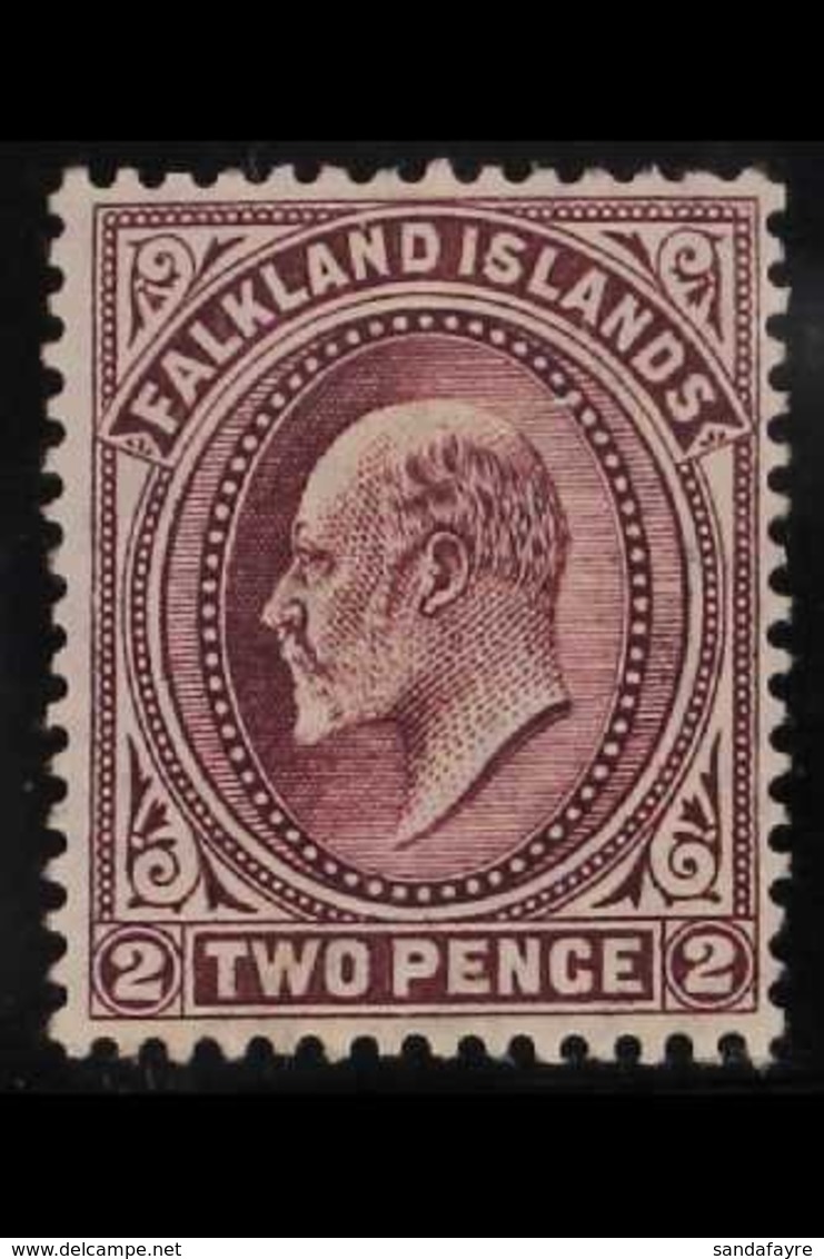 1904-12 2d Reddish Purple, SG 45b, Very Fine Mint With Brandon Certificate. For More Images, Please Visit Http://www.san - Falklandinseln