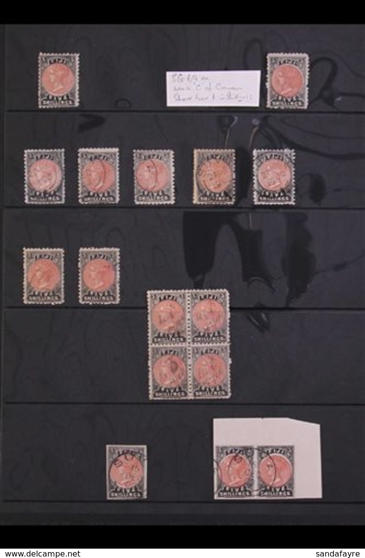1882 5 SHILLINGS GROUP. A Interesting Range Of 1882 5s Dull Red And Blacks (SG 69) Includes 2 Mint Examples (one With "C - Fiji (...-1970)