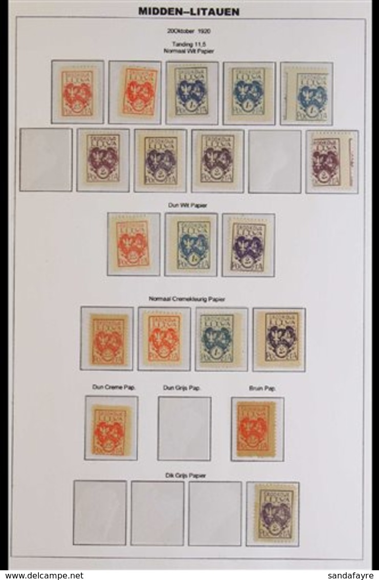 CENTRAL LITHUANIA 1920 - 1922 EXTENSIVE MINT COLLECTION With A Good Level Of Specialization Nicely- Displayed On Pages A - Lituanie