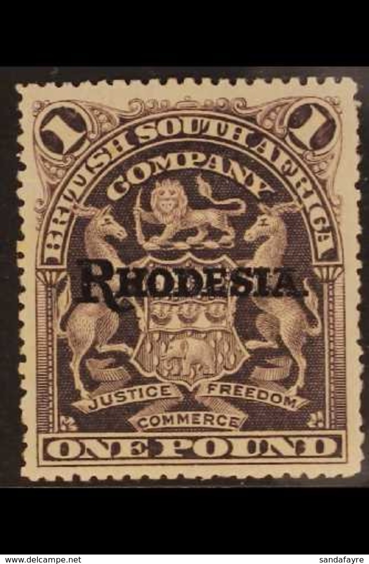 1909-12 £1 Grey-purple, "RHODESIA." BSAC Arms, SG 113, Fine Mint. For More Images, Please Visit Http://www.sandafayre.co - Sonstige & Ohne Zuordnung