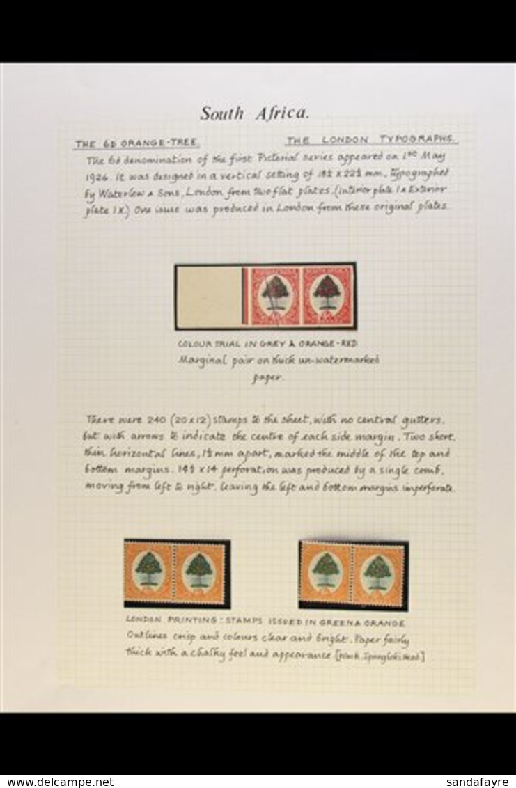 1926-51 SIXPENCE ORANGE TREE ISSUES STUDY COLLECTION - Very Well Written Up On Pages, With 1926-7 Imperforate COLOUR TRI - Zonder Classificatie