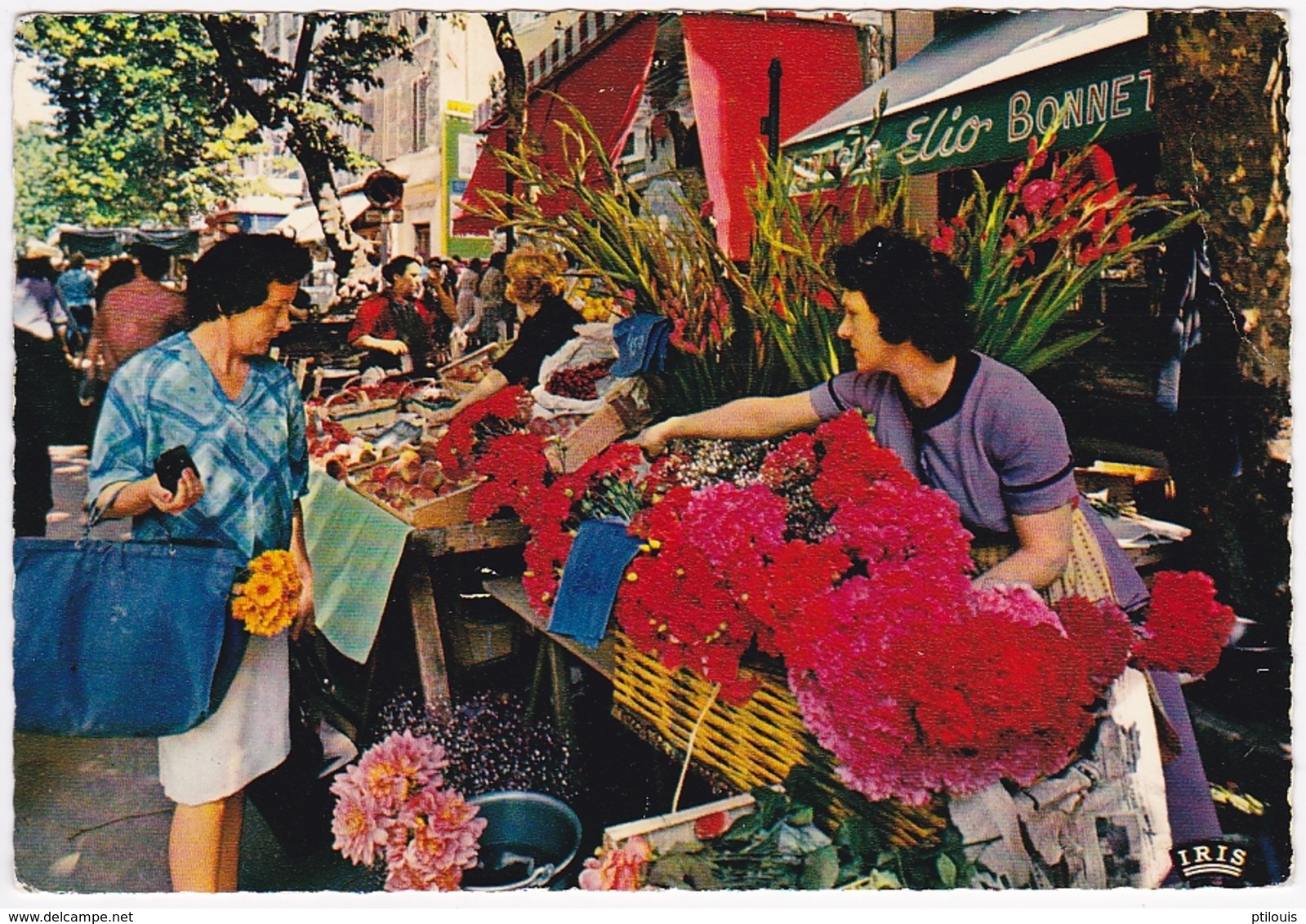 TOULON - Le Marché Aux Fleurs - Toulon