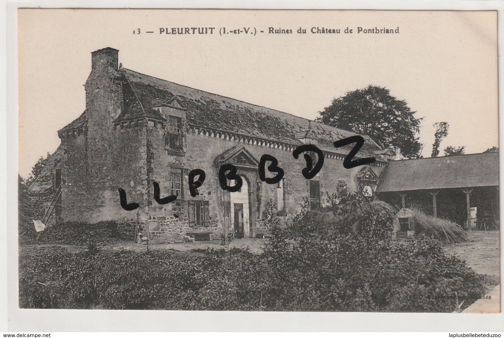 CPA - 35 - PLEURTUIT - Ruines Du Château De Pontbriand - Pas Courante - Autres & Non Classés
