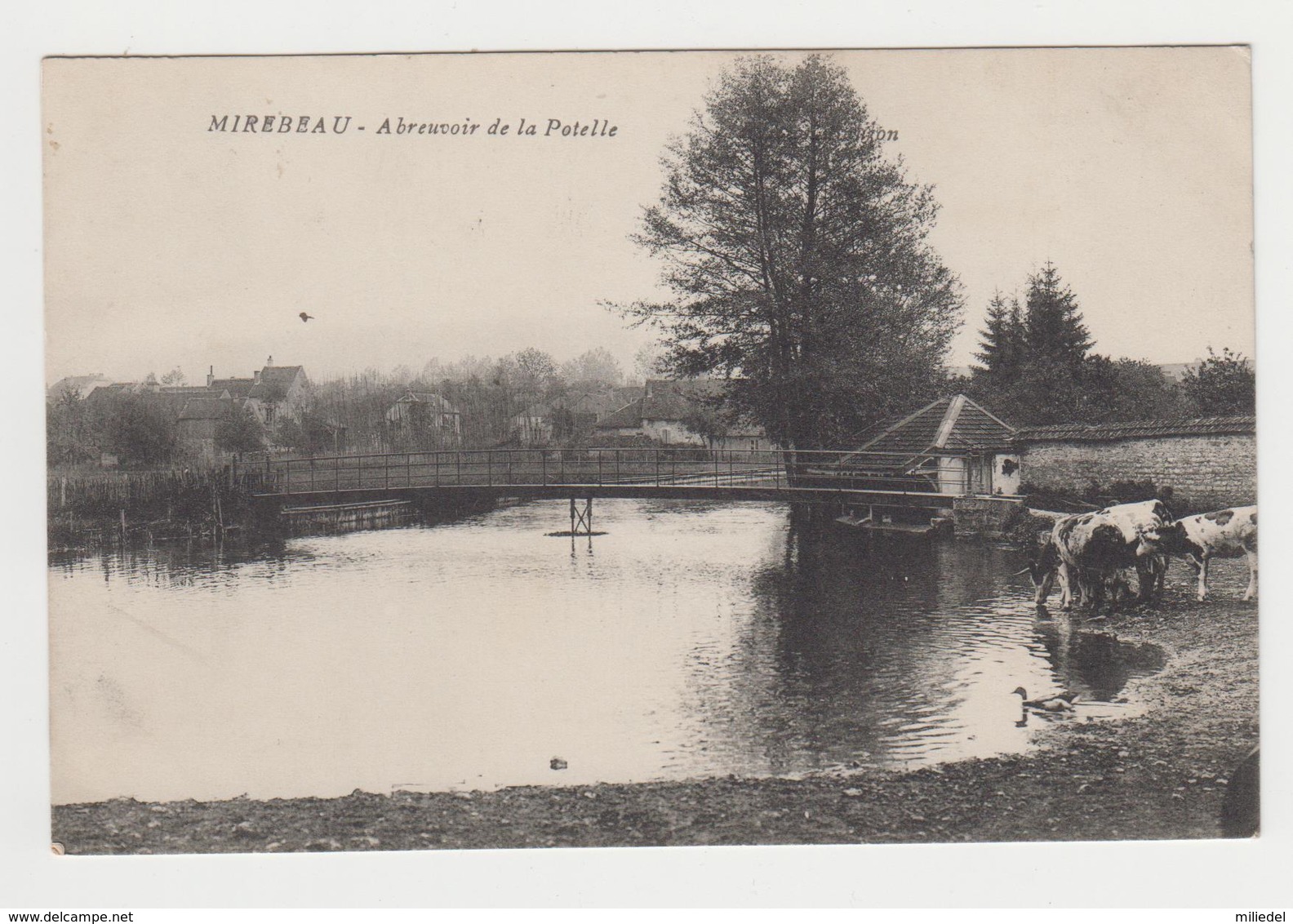 BO069 - MIREBEAU - Abreuvoir De La Potelle - Mirebeau