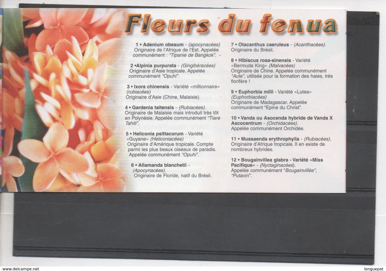 POLYNESIE Française - Flore - Fleurs Du Fenua (terre, Territoire, île, En Tahitien) - Orchidée, Tiaré, Bougainvlllé, - Booklets