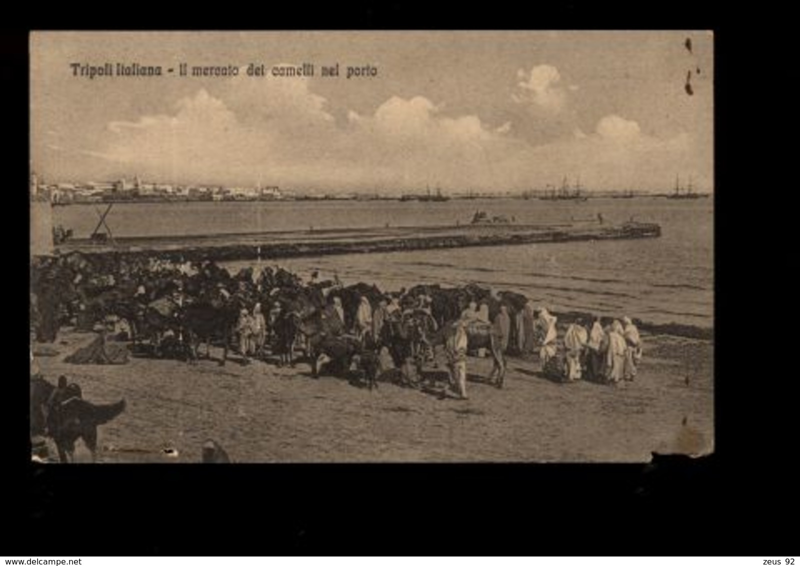 C1315 LIBIA - COLONIE ITALIANE - TRIPOLI ITALIANA - IL MERCATO DEI CAMMELLI NEL PORTO TIMBRO CAVALIERI MALTA SUL RETRO - Libia