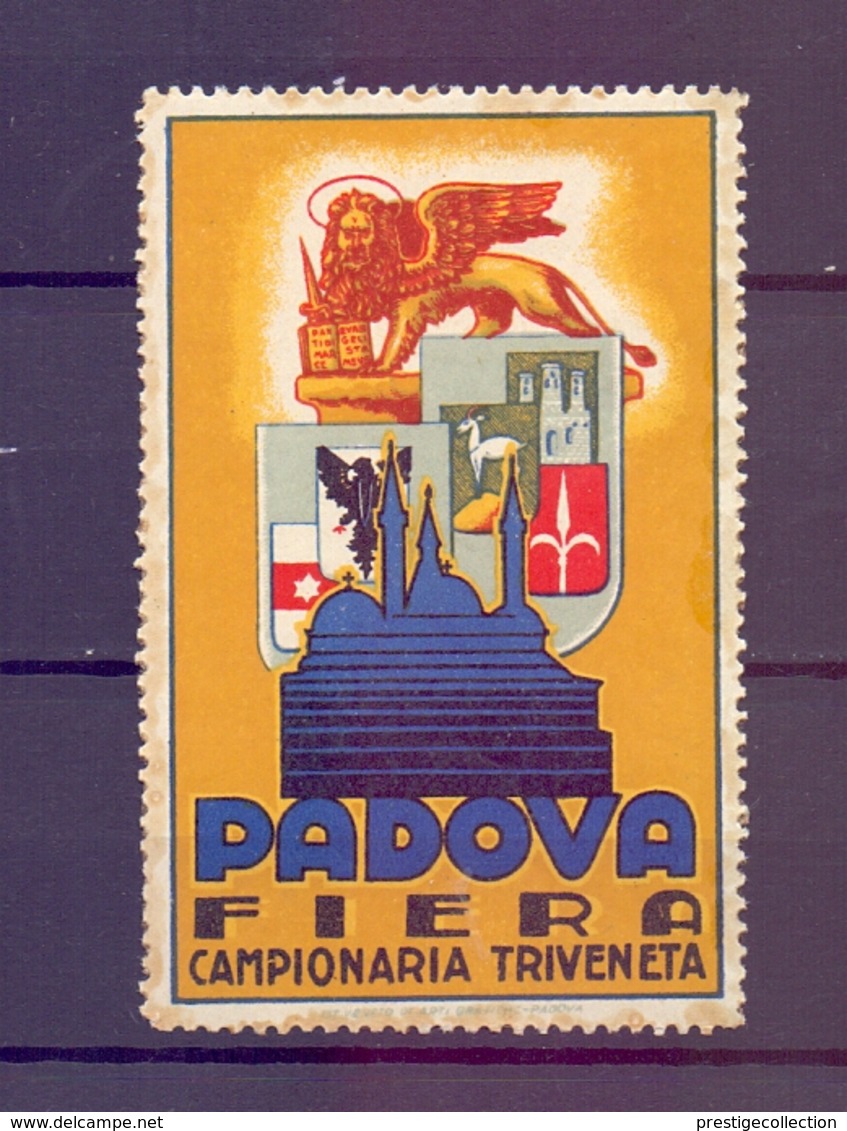 CINDERELLA ERINNOFILIA PADOVA FIERA CAMPIONARIA TRIVENETA   (GIUGN1900B29) - Erinnofilia