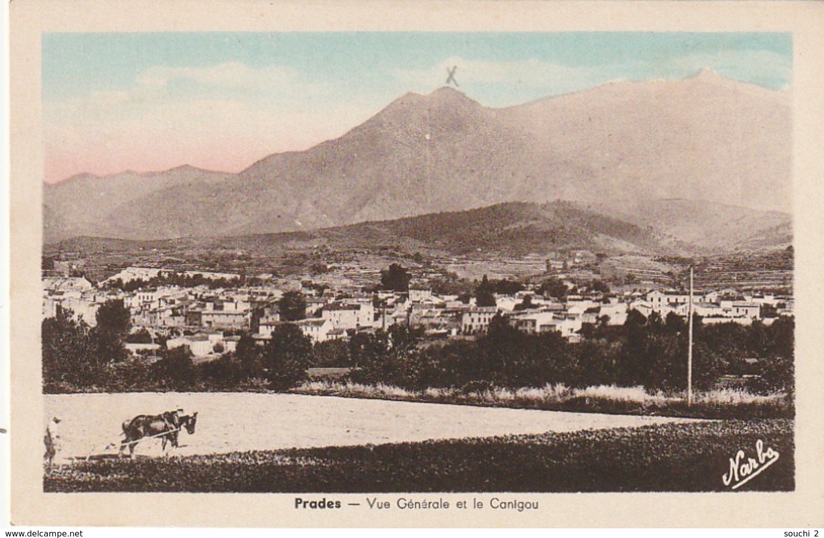 HO 21 - (66)  PRADES -  VUE GENERALE ET LE CANIGOU - LABOUREUR ET SON CHEVAL- CARTECOLORISEE  - 2 SCANS - Prades