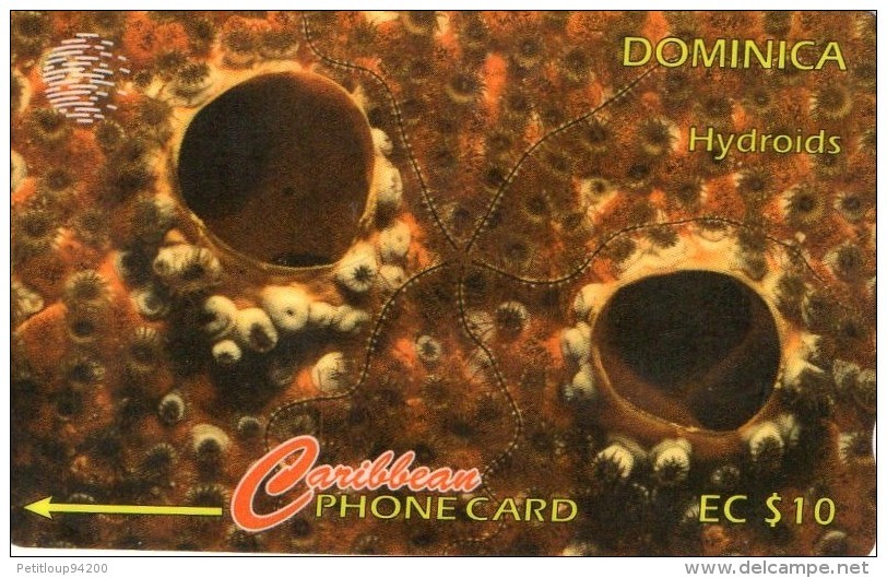 TELECARTE  DOMINIQUE  EC$10  Hydroids - Dominique