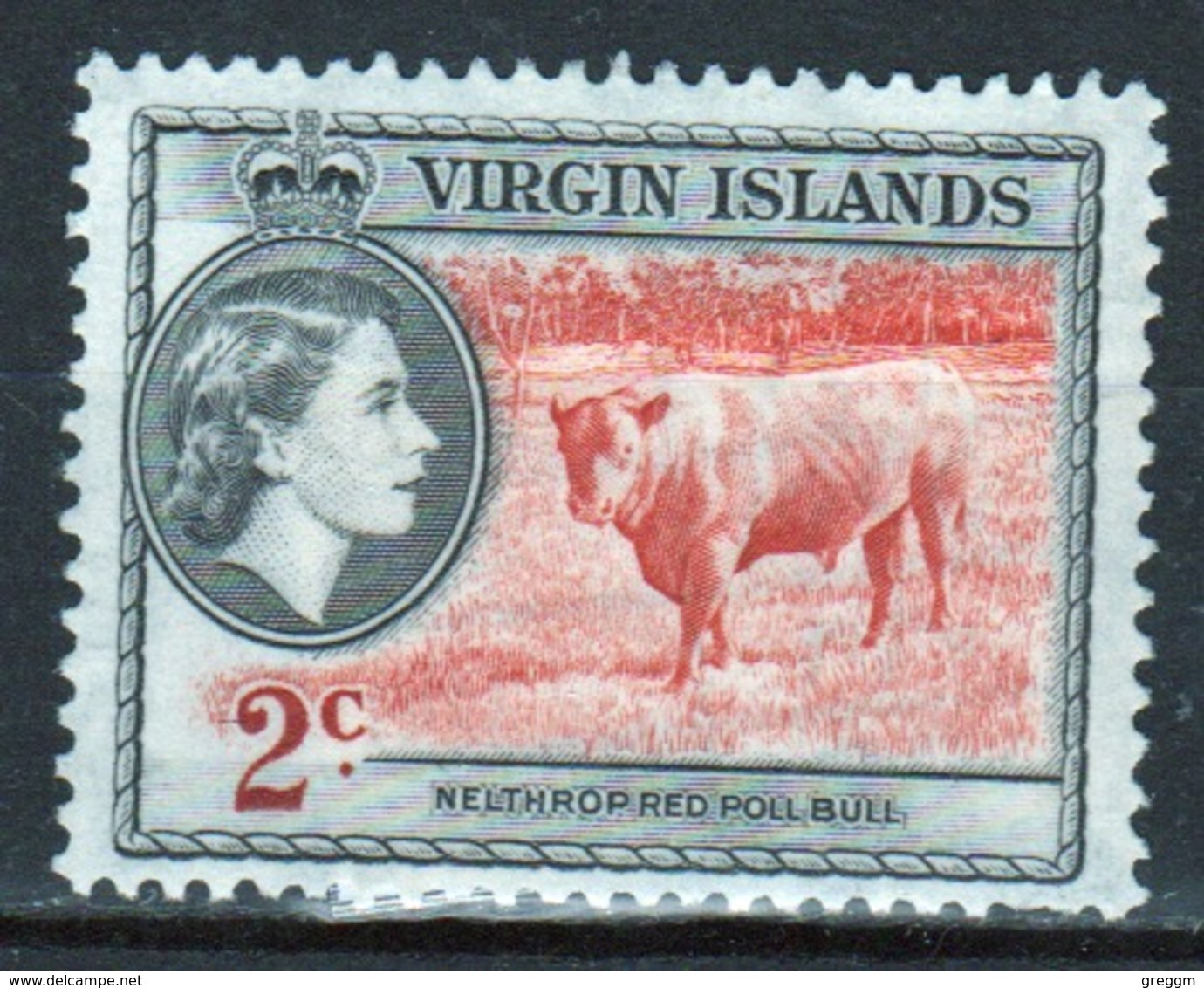 British Virgin Islands 1956 Queen Elizabeth Single 2 Cent Stamp From The Definitive Set. - British Virgin Islands