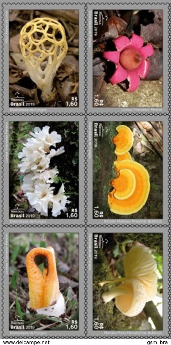 Brazil 2019: Mushrooms - 6 Stamps With Fungi Images. Plants, Flowers, Nature. MNH - Champignons