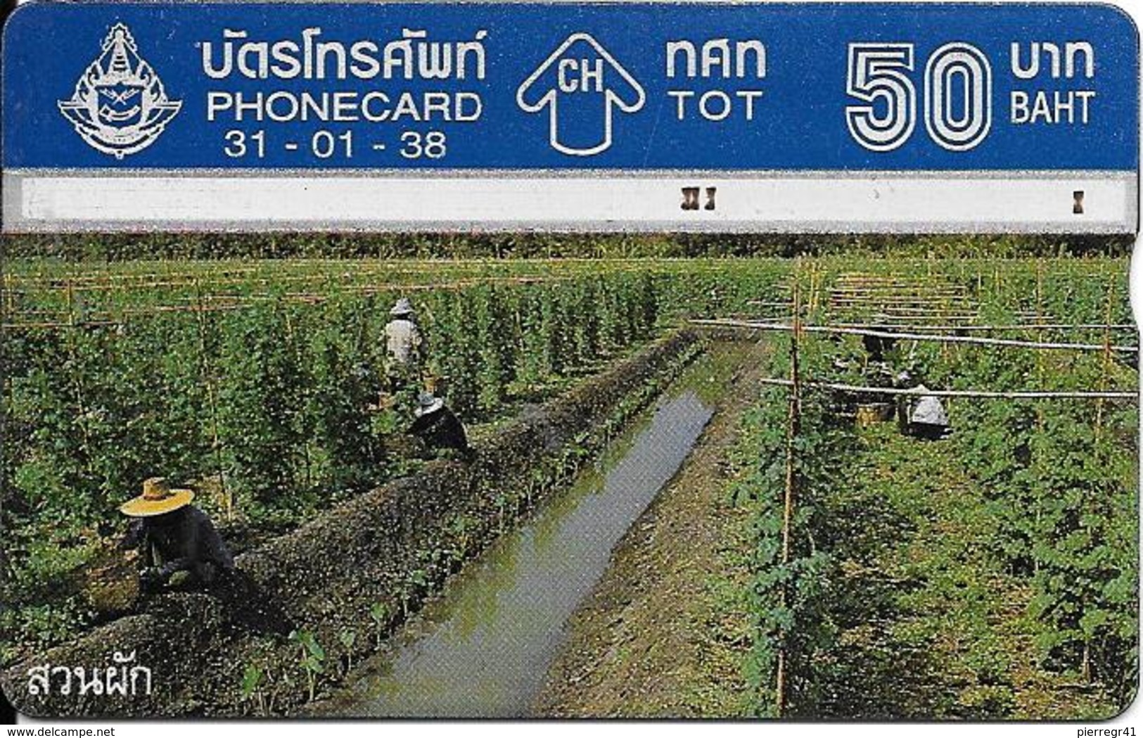 CARTE THAILANDE HOLOGRAPHIQUE-50Bath-1995-PLANTATION-Utilisé-TBE - Thaïlande