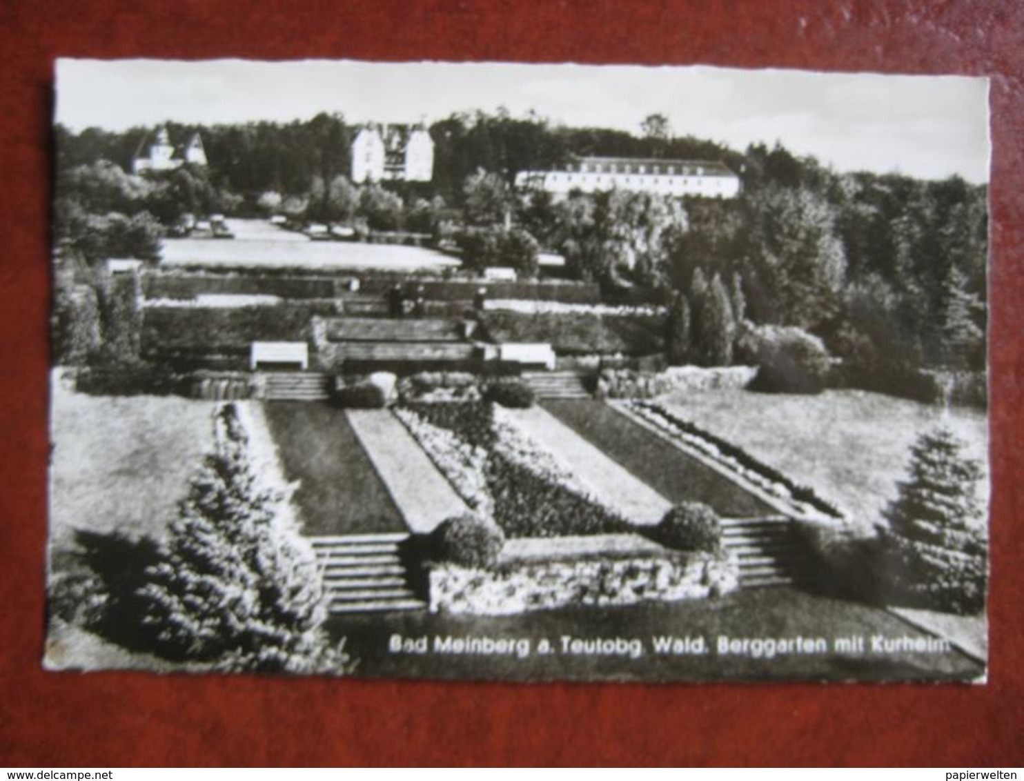 Horn - Bad Meinberg (Lippe) - Berggarten Mit Kurheim - Bad Meinberg