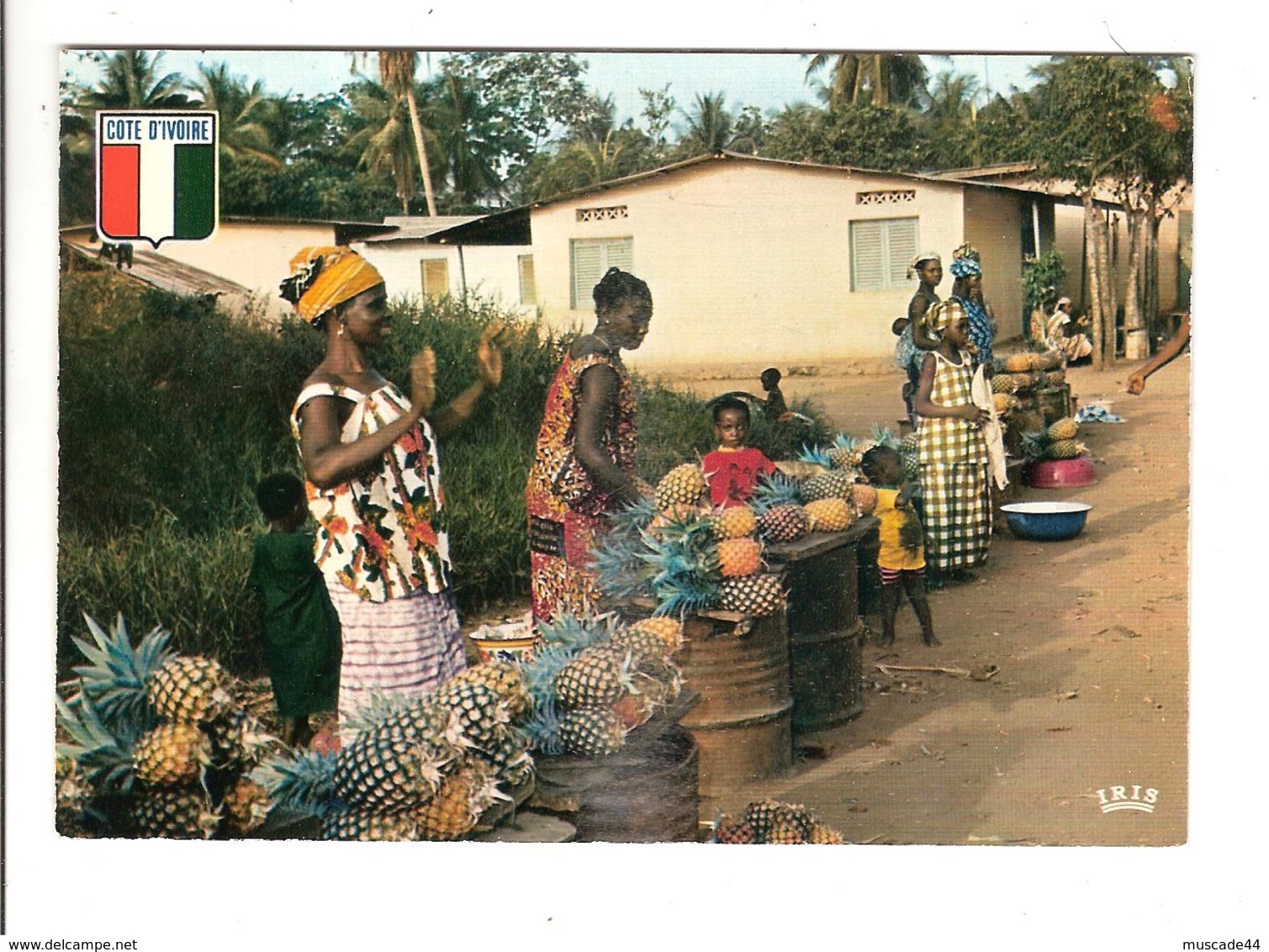 COTE D IVOIRE - MARCHANDES D ANANAS - Côte-d'Ivoire