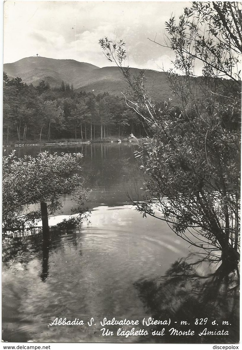 W3334 Abbadia San Salvatore (Siena) - Un Laghetto Sul Monte Amiata - Panorama / Viaggiata 1954 - Altri & Non Classificati