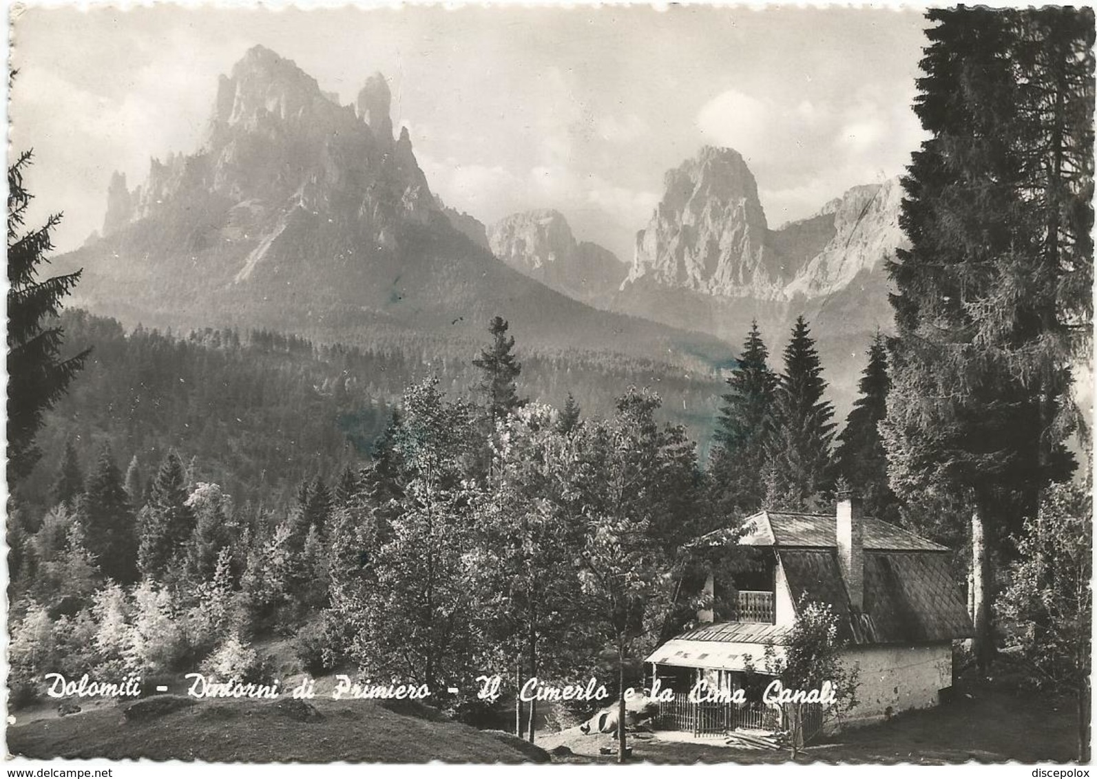 W3346 Dintorni Di Primiero (Trento) - Dolomiti - Il Cimerlo E La Cima Canali - Panorama / Viaggiata 1953 - Autres & Non Classés