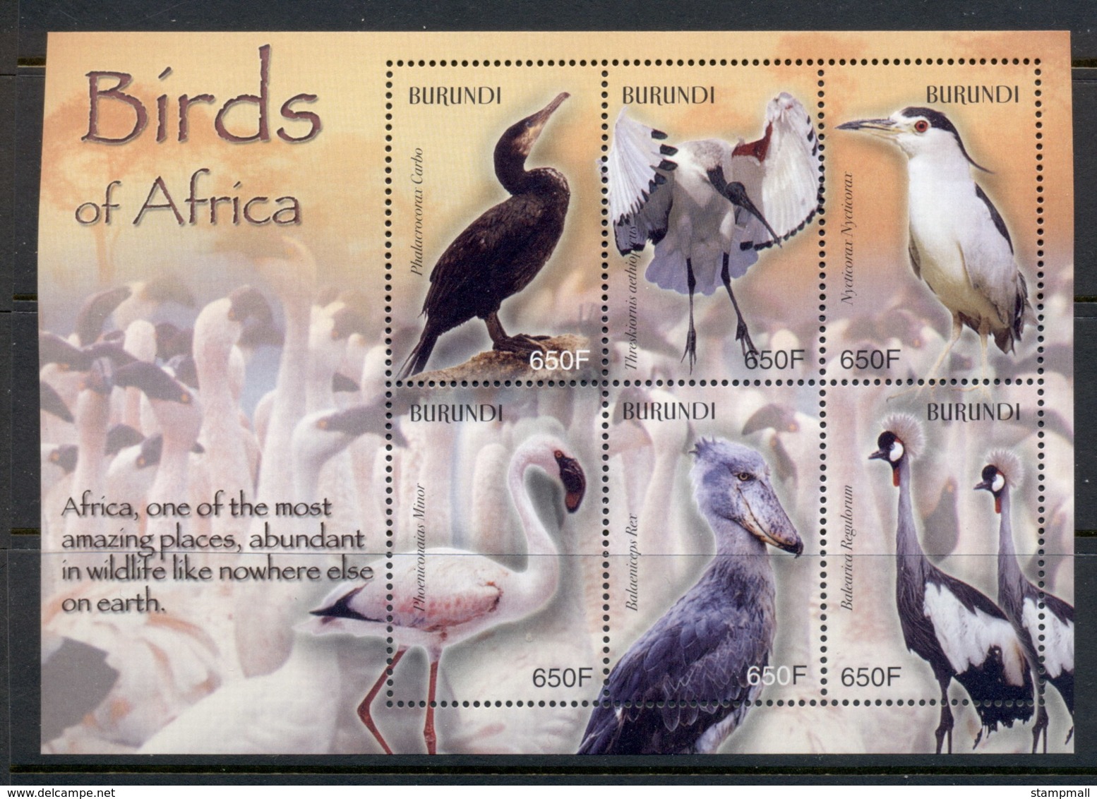 Burundi 2004 Birds Of Africa Sheetlet Muh - Unused Stamps