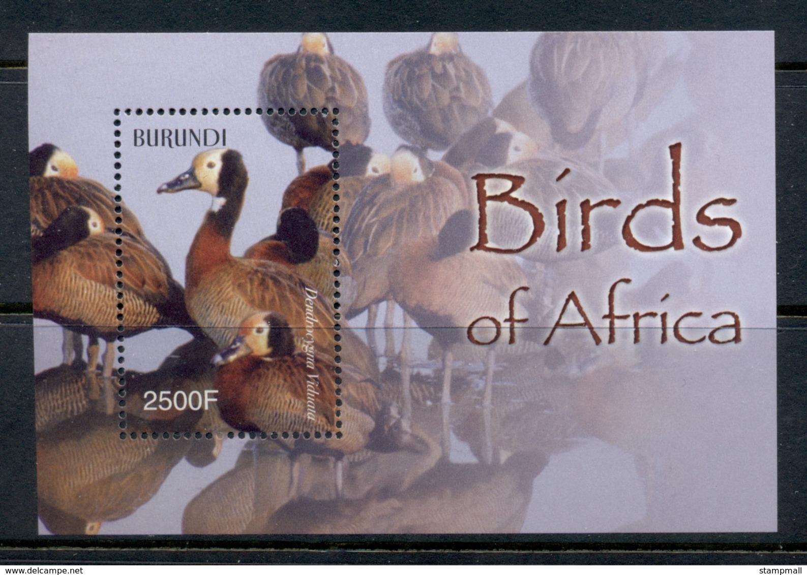 Burundi 2004 Birds Of Africa MS Muh - Nuevos