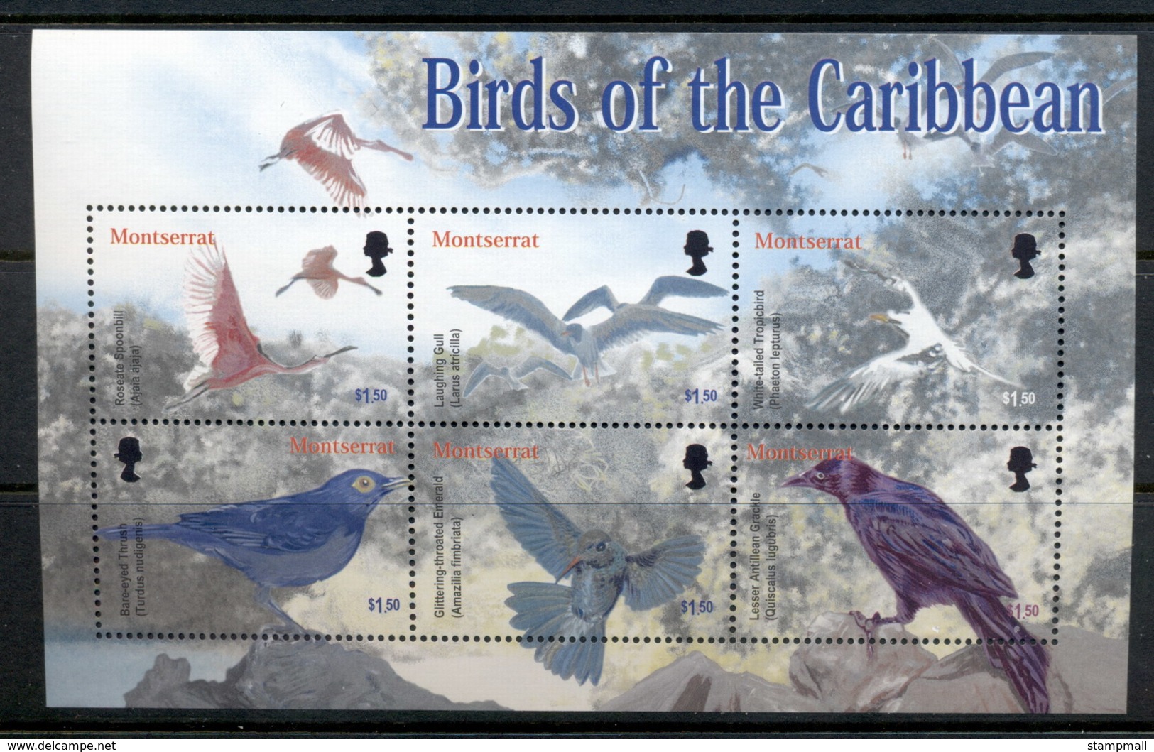 Montserrat 2003 Birds Of The Caribbean Sheetlet MUH - Montserrat
